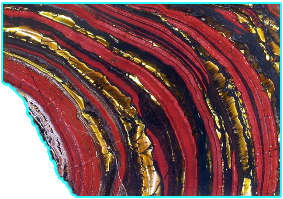 Algal Stromatolites 2
